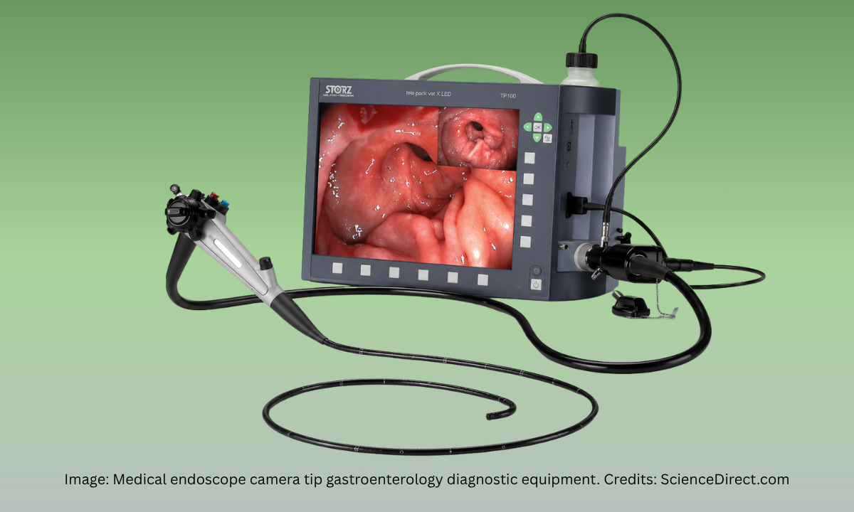 Gastro Endoscope Camera
